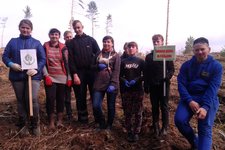 Волковысские пионеры за восстановление белорусских лесов!