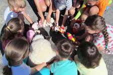 Продолжаем путешествовать по лету…