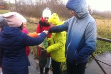 Международный день энергосбережения